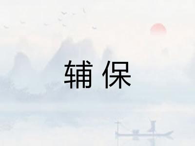 辅保