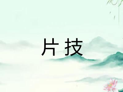 片技