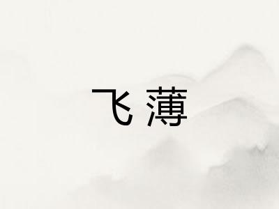 飞薄