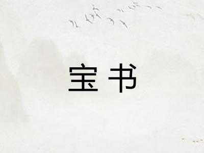 宝书
