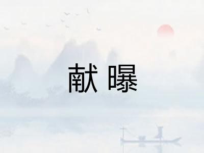 献曝