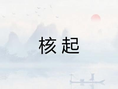 核起 核起