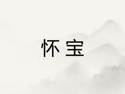 怀宝