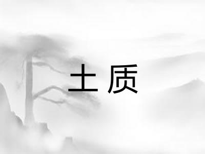 土质