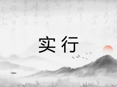 实行