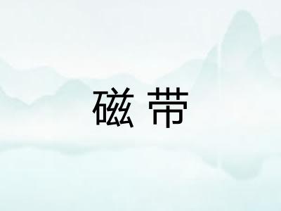 磁带