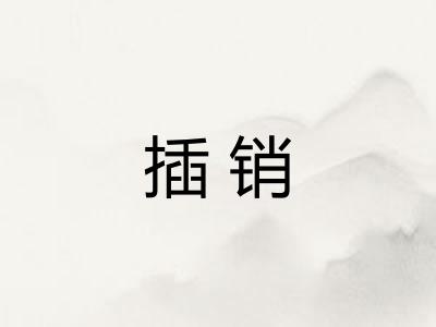 插销
