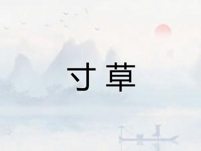 寸草