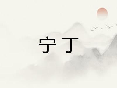 宁丁