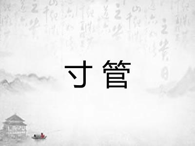 寸管