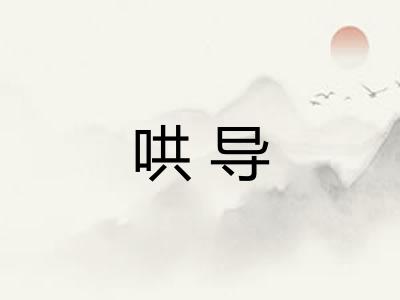 哄导