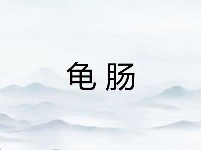 龟肠