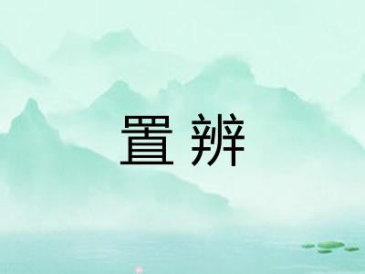 置辨