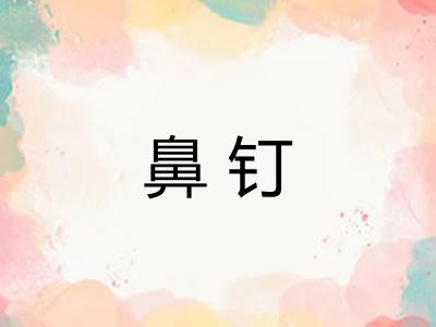鼻钉