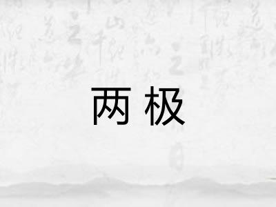 两极