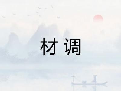 材调