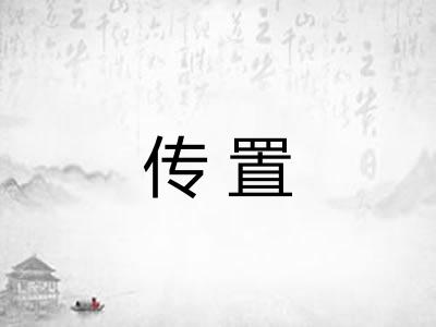 传置