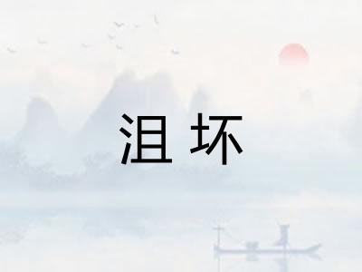 沮坏