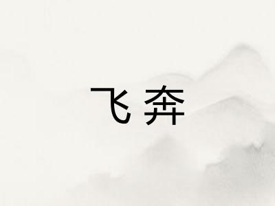 飞奔