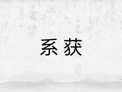 系获