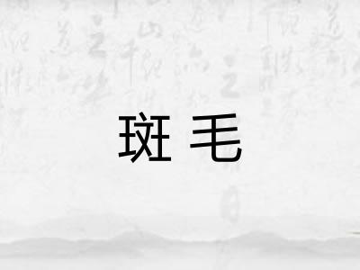 斑毛
