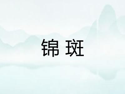 锦斑