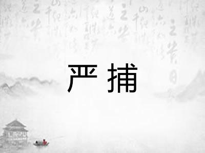 严捕