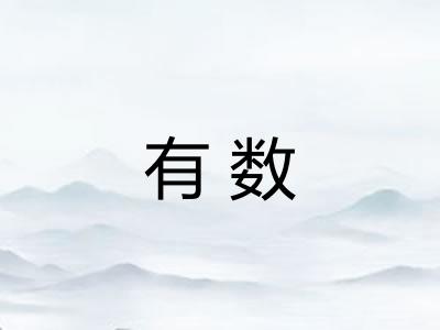 有数