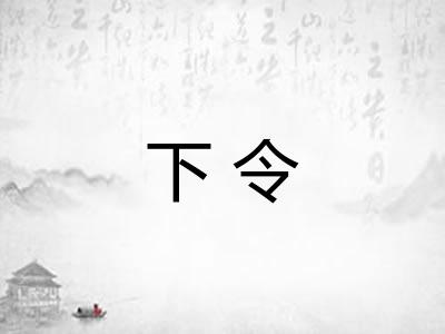 下令