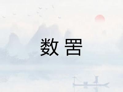 数罟