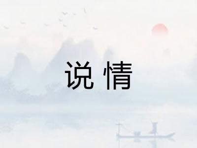 说情