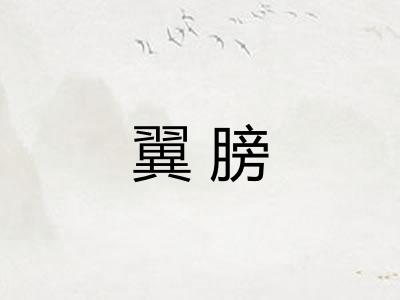 翼膀