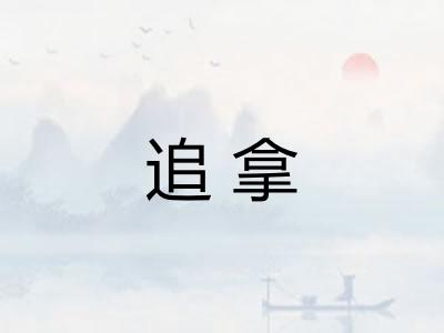 追拿