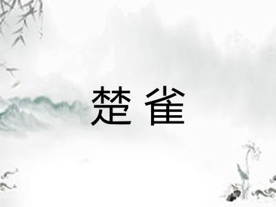 楚雀