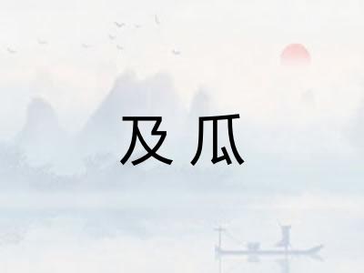 及瓜