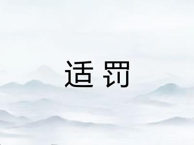 适罚