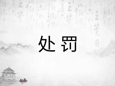 处罚
