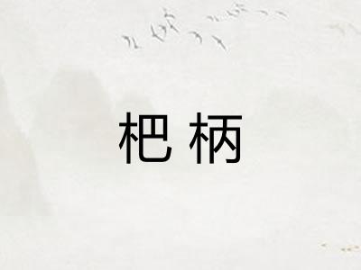 杷柄