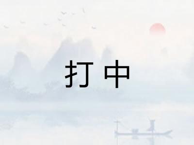 打中
