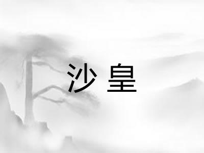 沙皇 沙皇