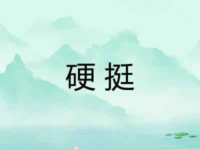 硬挺