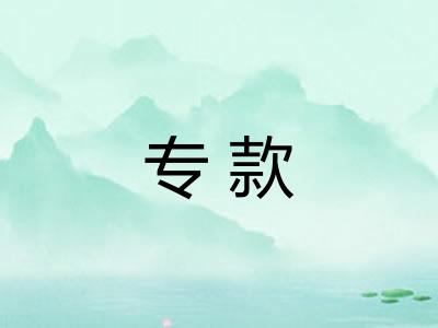 专款