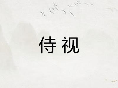 侍视
