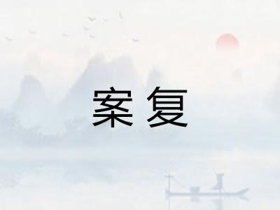 案复