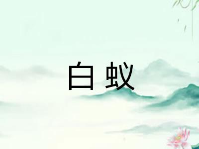 白蚁