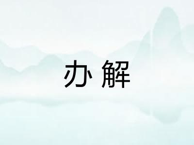 办解