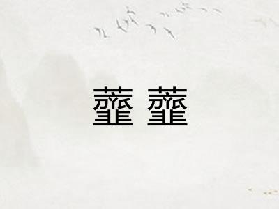 虀虀