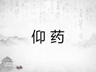 仰药