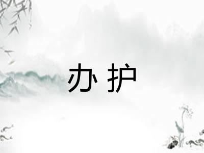 办护