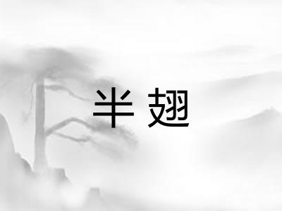 半翅